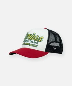 Genius Level Trucker Hat -Paper Plane Shop Paperplanes65777ff367daa83229754965777ff367daf.65777ff367daf
