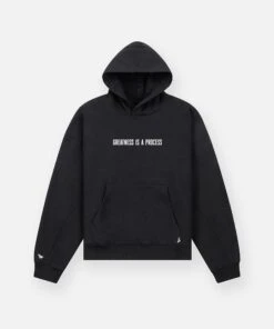 Greatness Is A Process Heavyweight Hoodie