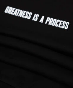 Greatness Is A Process Heavyweight Crewneck -Paper Plane Shop Paperplanes684c536ec3b927684c536ec3dce.46511123684c536ec3dce